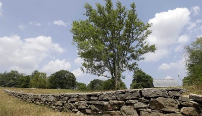 
              This Monday, July 9, 2012 photo shows a stone wall built during the slavery era in Lebanon, Tenn. The land was once part of a plantation where Jordan Anderson was a slave to Col. Patric